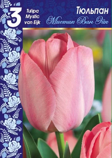 Мистик Ван Эйк