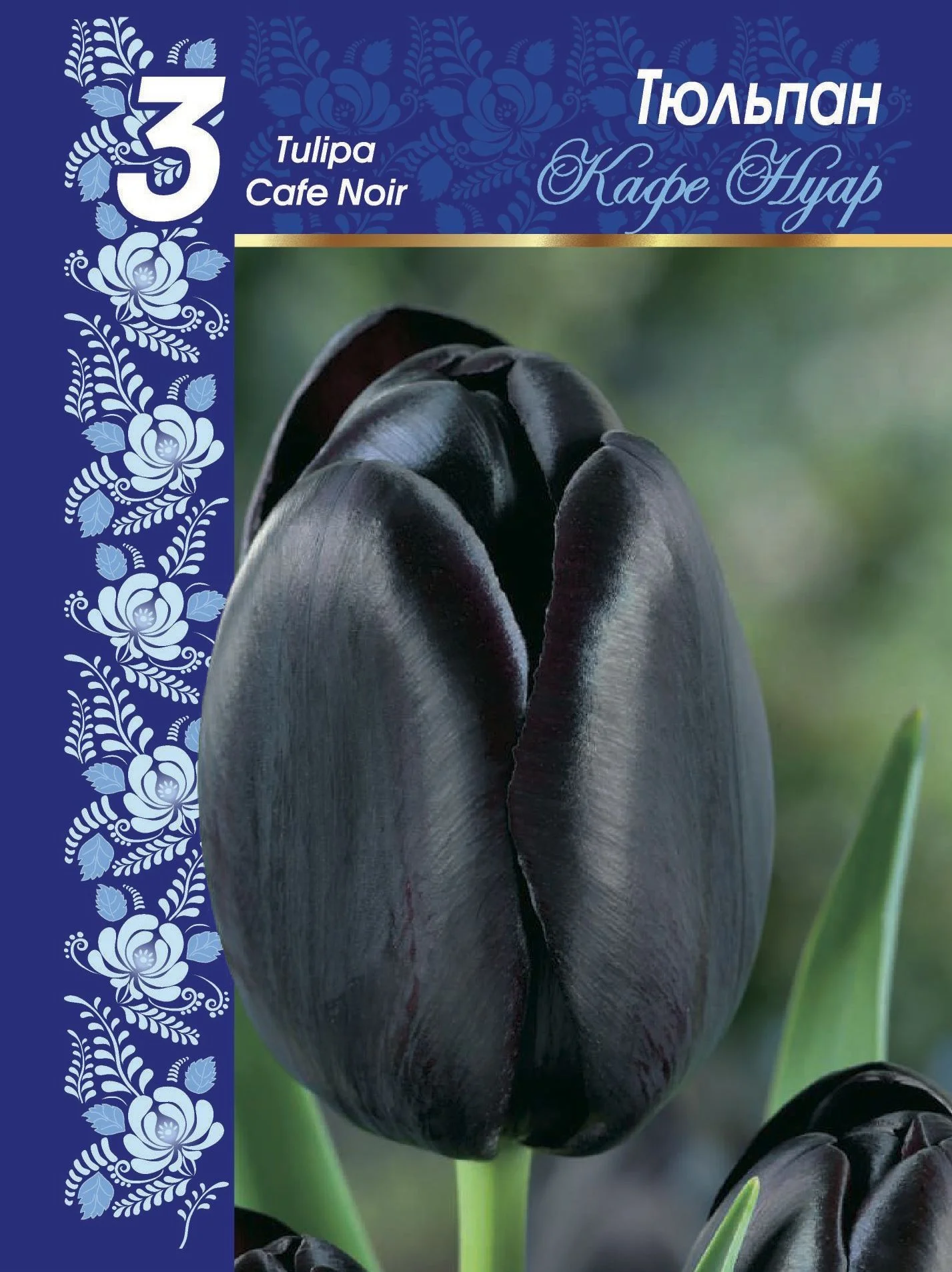 Мистик Принц