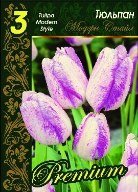 Модерн Стайл