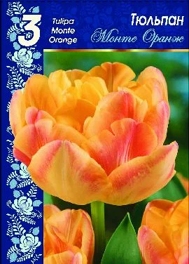 Монте оранж