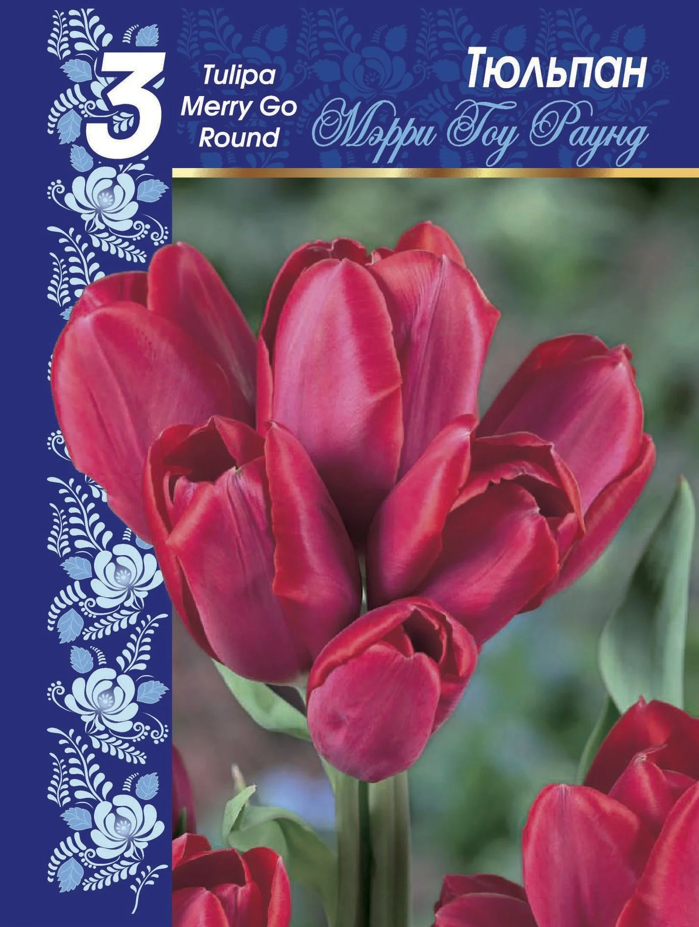 Мэрри гоу Раунд