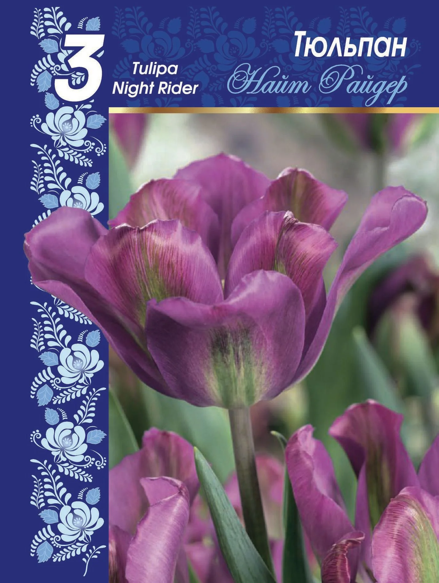 Найт Райдер