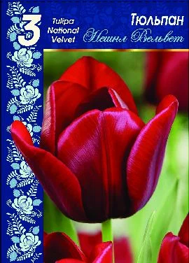 Нешнл Вельвет