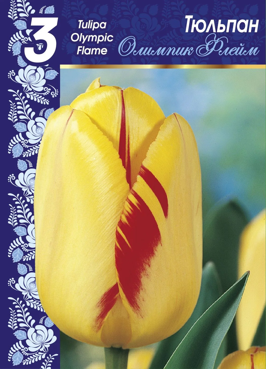 Олимпик Флейм