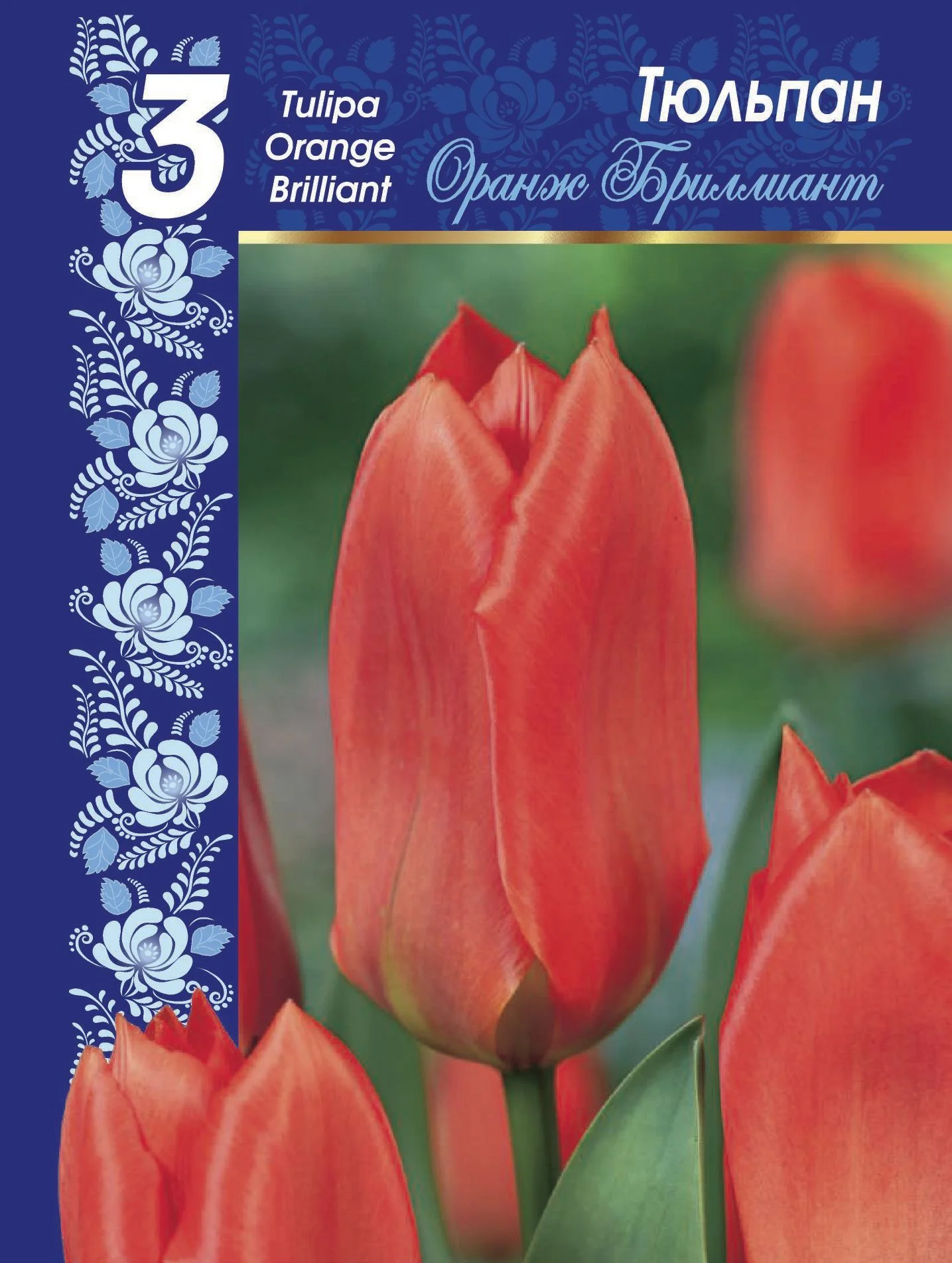 Оранж Бриллиант