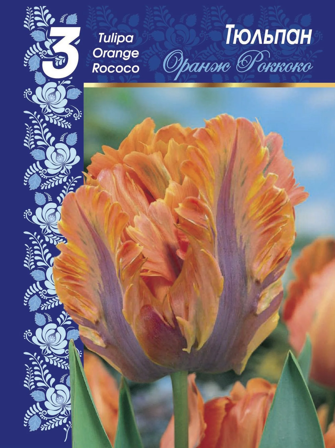 Оранж Роккоко