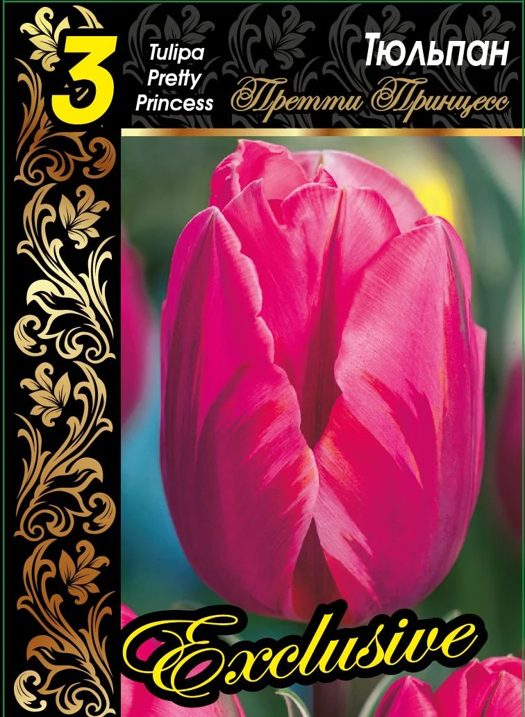 Претти Принцесс