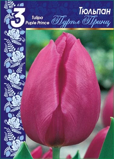 Пурпл Принц