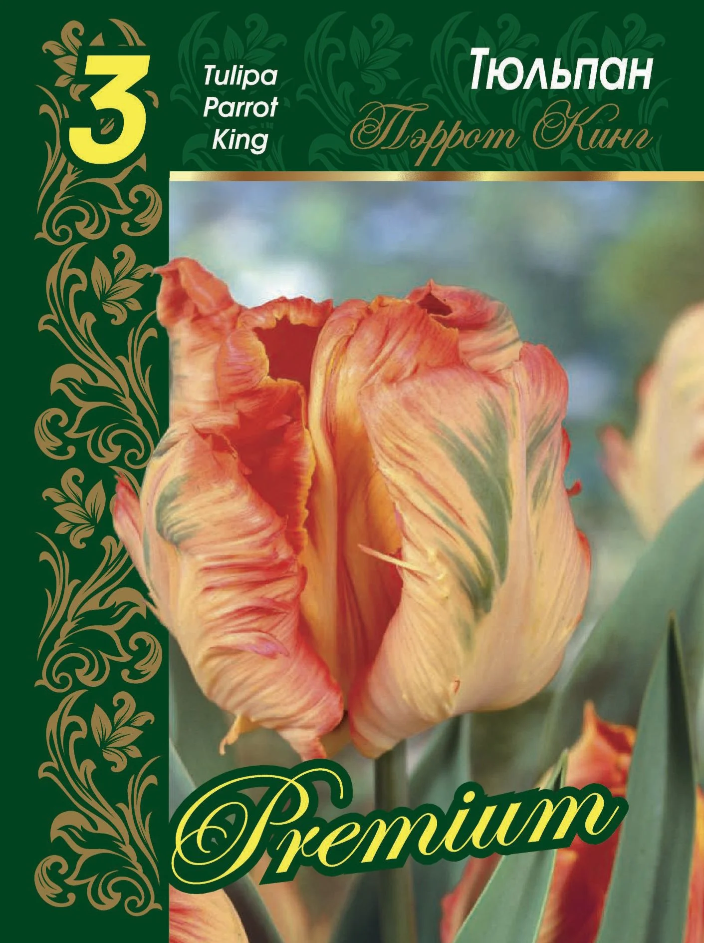 Пэррот Кинг