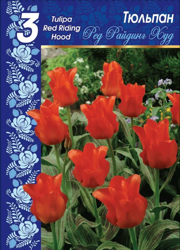 Ред Райдинг Худ