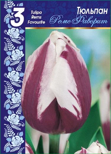 Ремс Фаворит