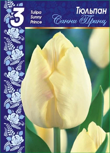 Санни Принц