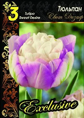 Свит Дизаер