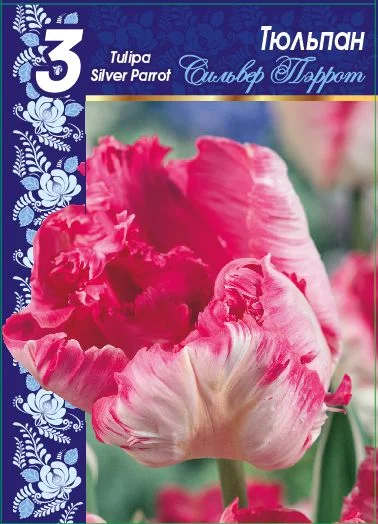 Сильвер Перрот