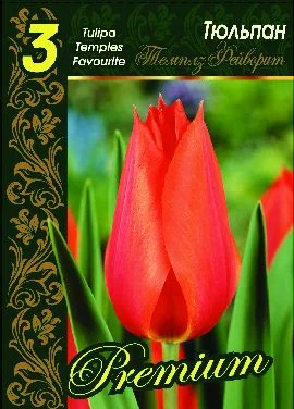 Темплз Фейворит