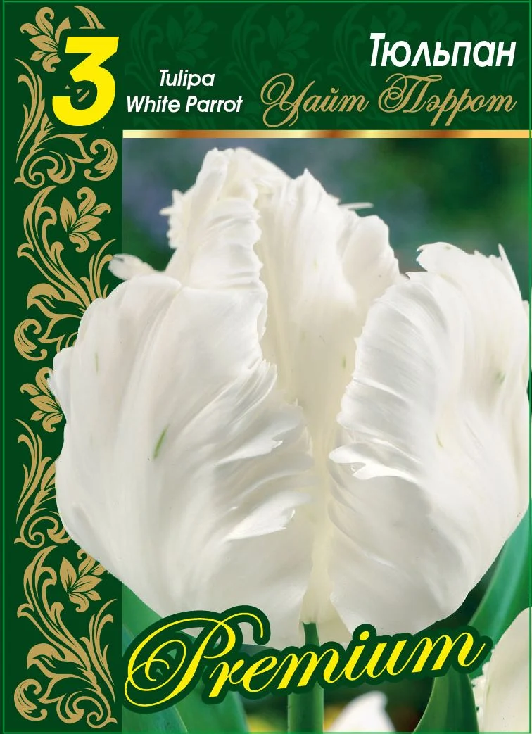 Уайт Перрот