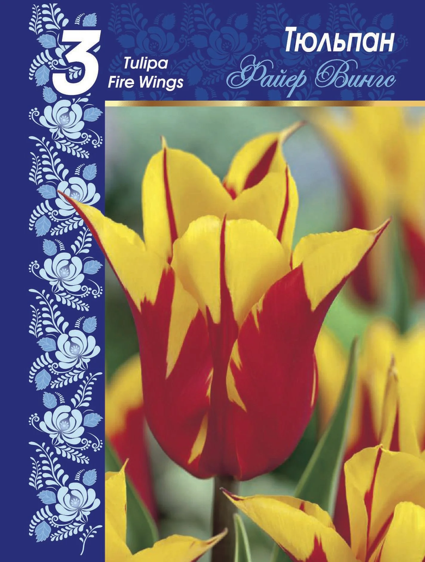 Файер Вингс