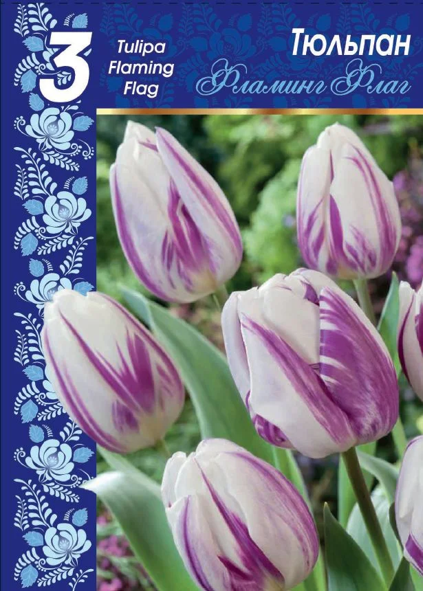 Фламинг Флаг