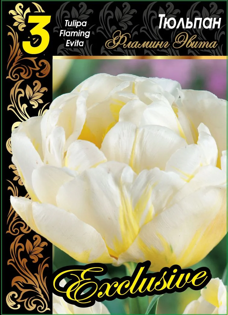 Фламинг Эвита