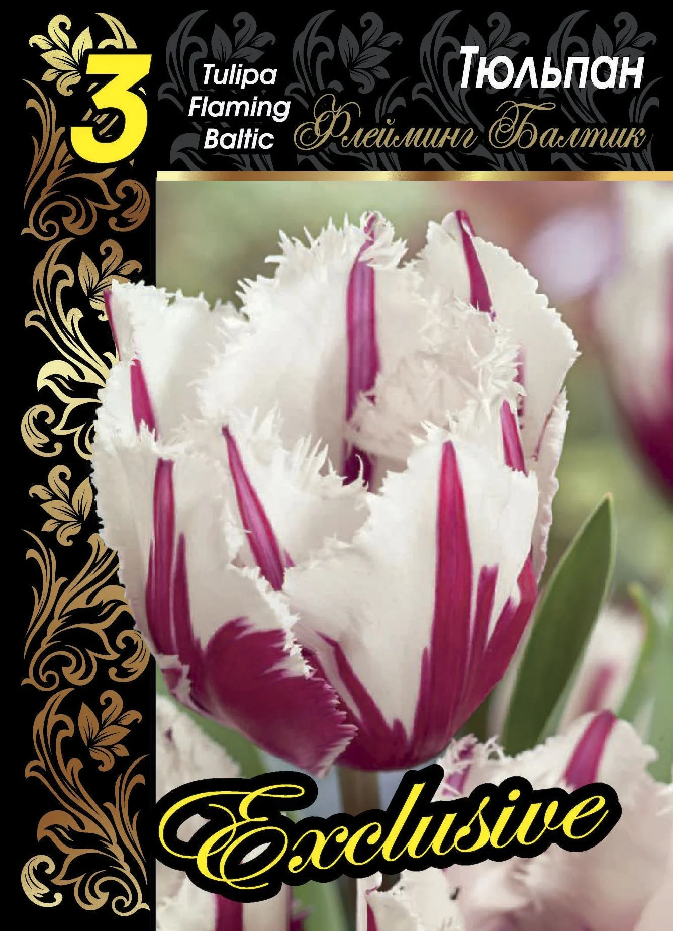 Флейминг Балтик