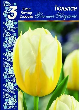 Флеминг Когуетте