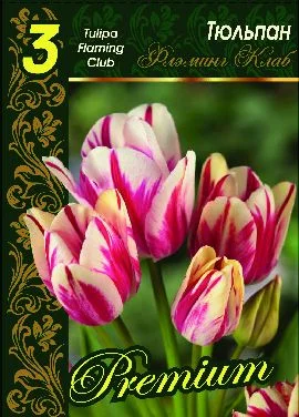 Флэминг Клаб 