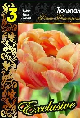 Фокси Фокстрот