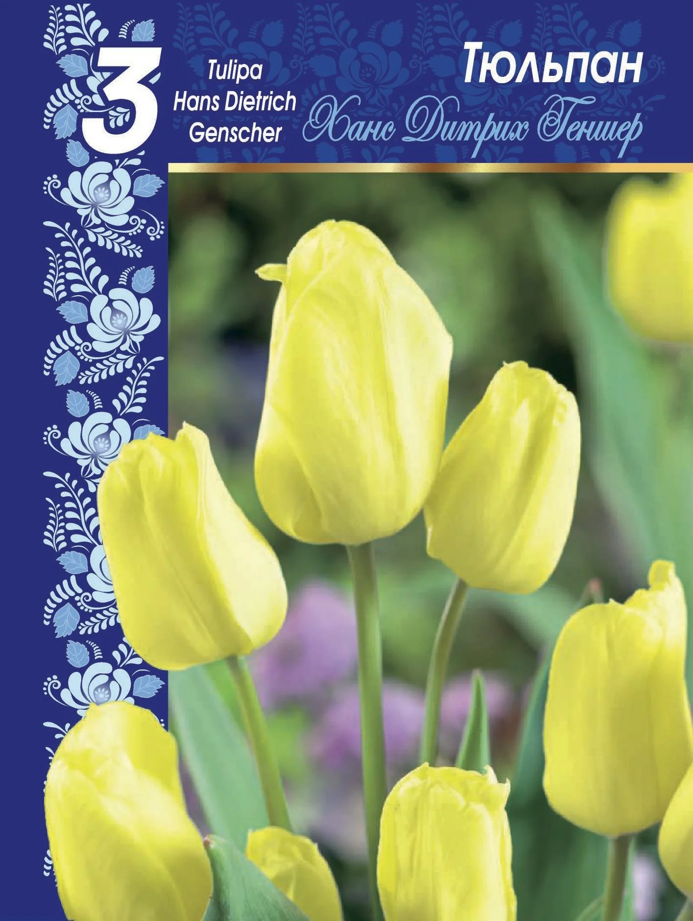 Ханс Дитрих Геншер