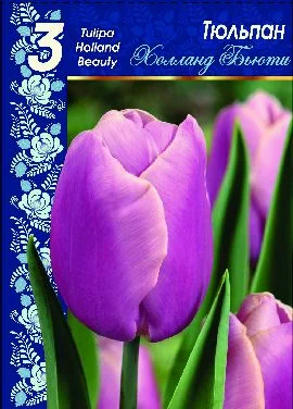 Холланд Бьюти