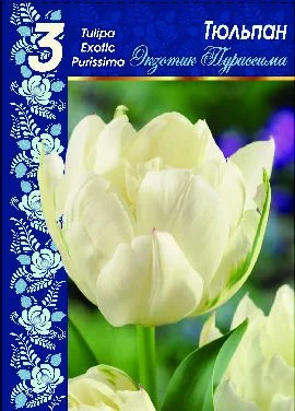 Экзотик Пуриссима