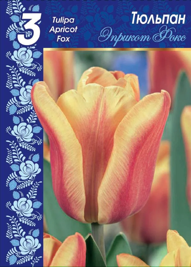 Эприкот Фокс