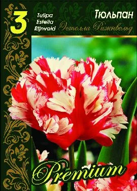 Эстелла Рижнвельд