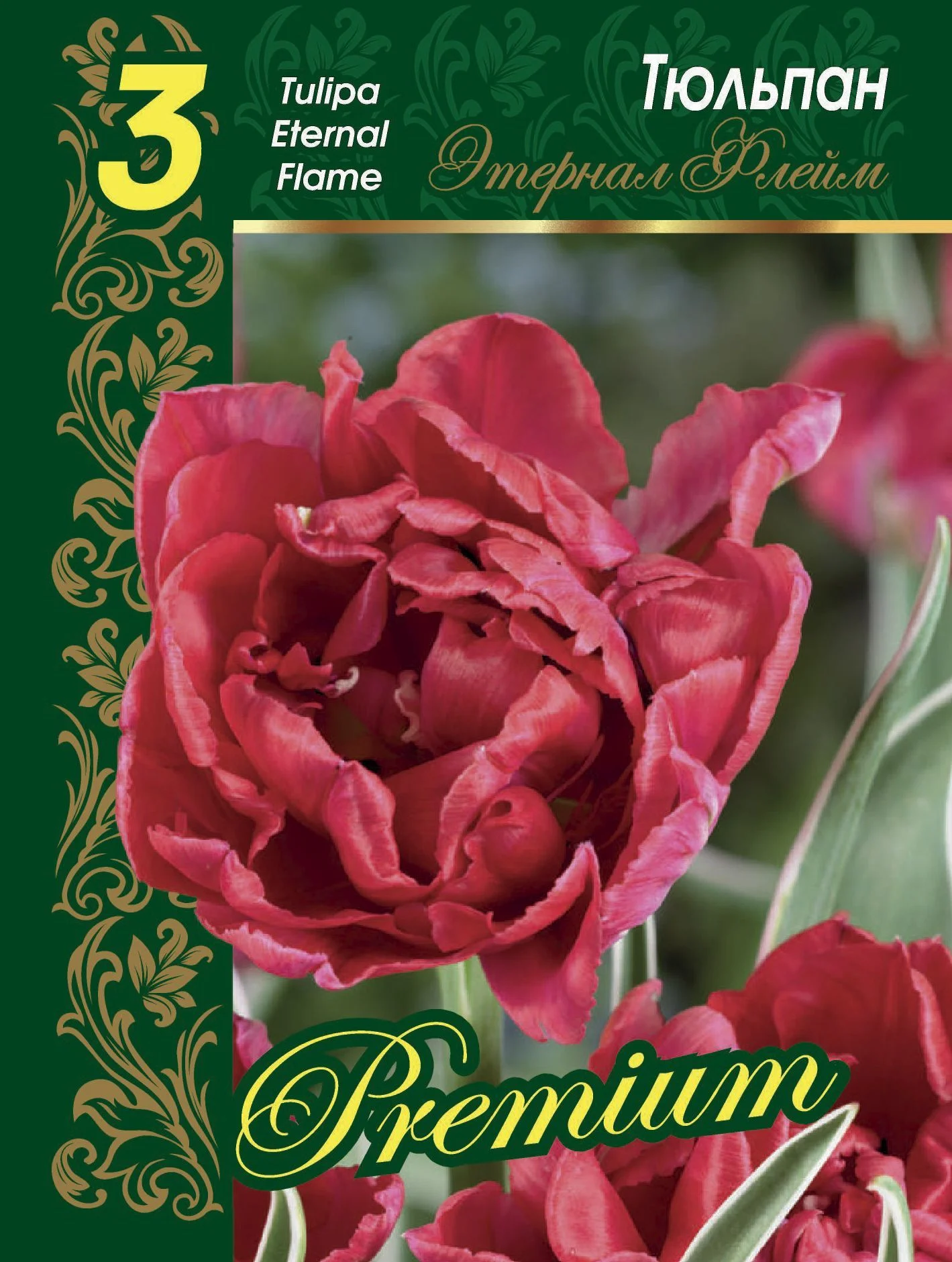 Этернал Флейм