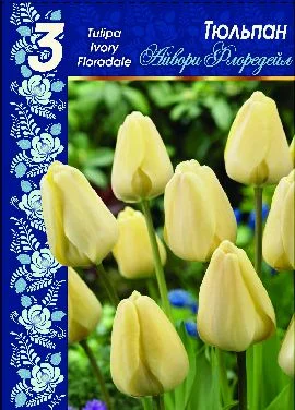 Айвори Флоредейл