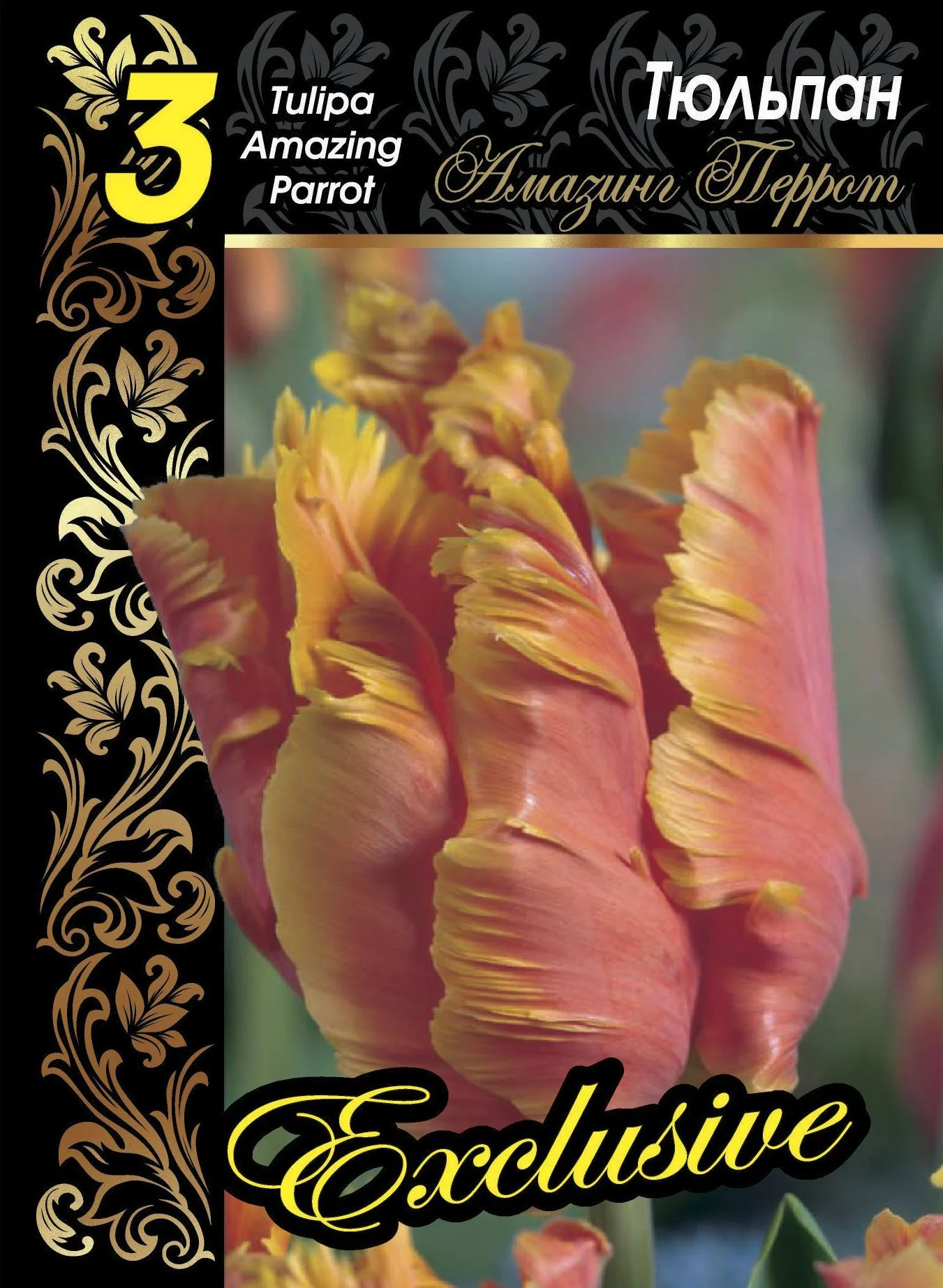 Амазинг Перрот