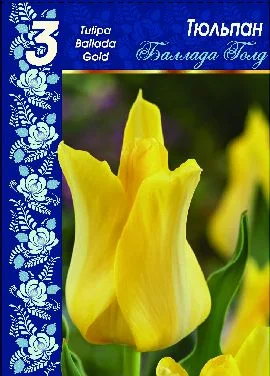 Баллада Голд