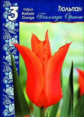 Баллада Оранж