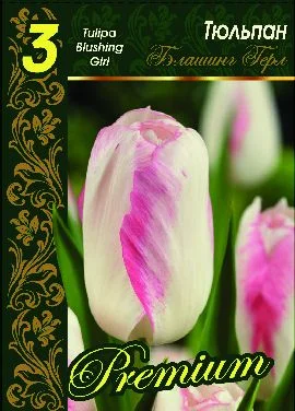 Блашинг Герл