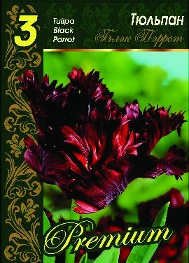 Блэк Перрот