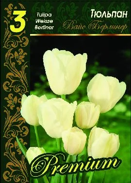 Вайс Берлинер