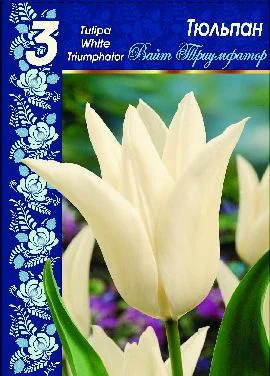 Вайт Триумфатор