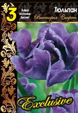 Виктория Сикрет