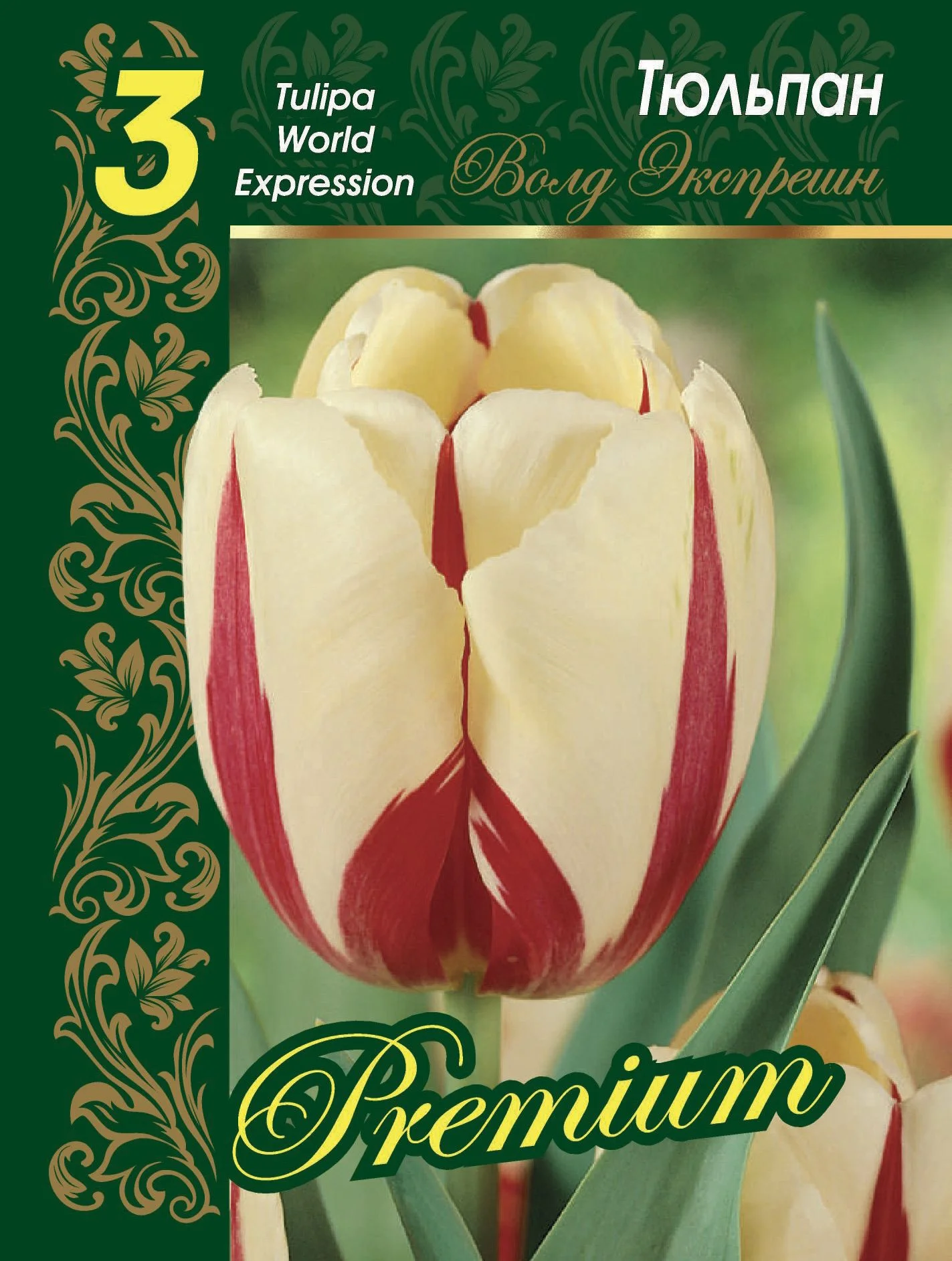 Волд Экспрешн