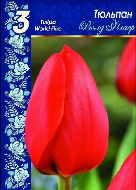 Ворлд Флаер