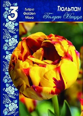 Голден Ницца