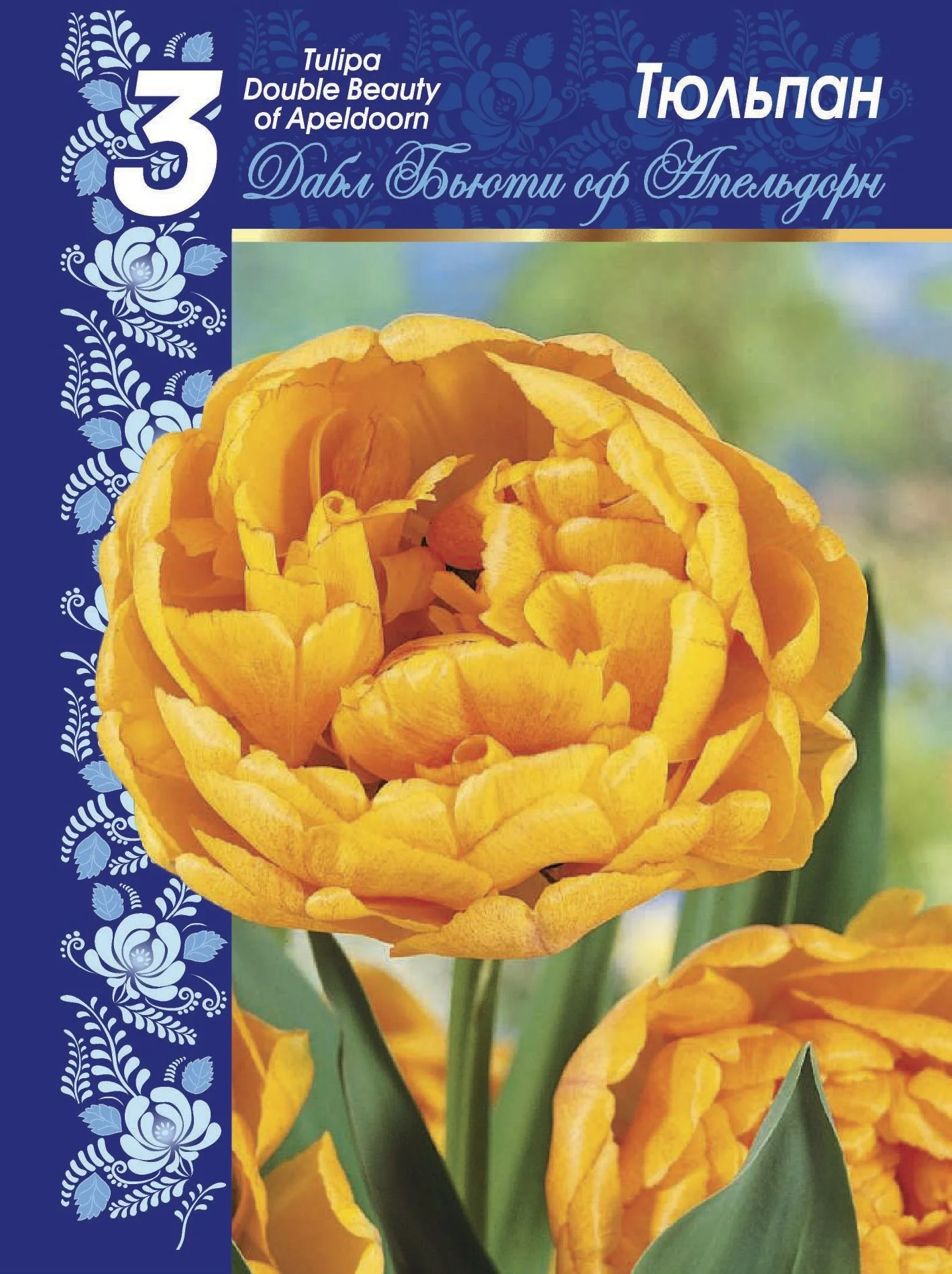 Дабл Бьюти оф Апельдорн