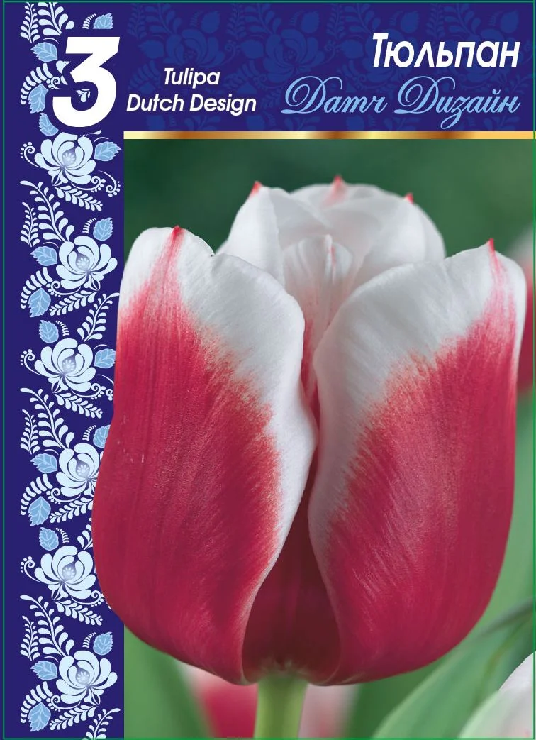 Датч Дизайн