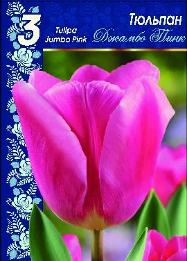 Джамбо Пинк