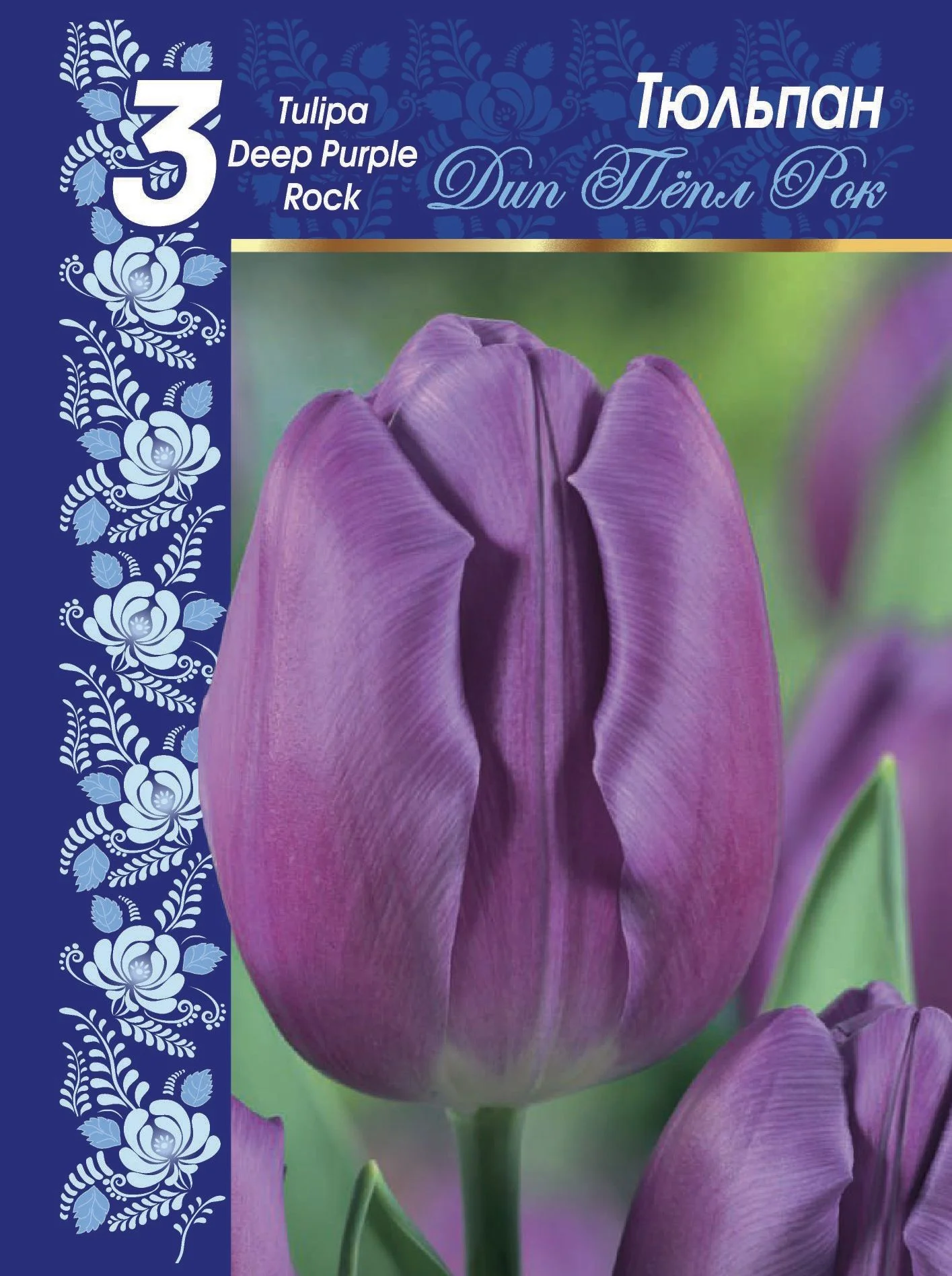 Дип Пёпл Рок