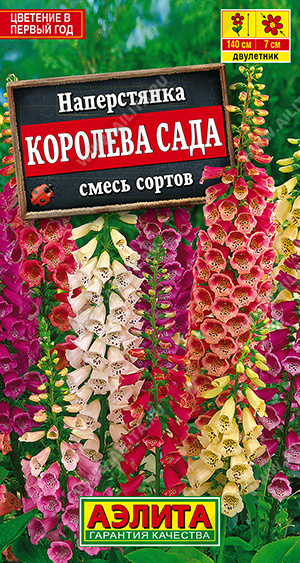 Королева сада